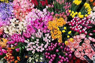 《城市：天际线2》新预告片展示超广阔游戏区域